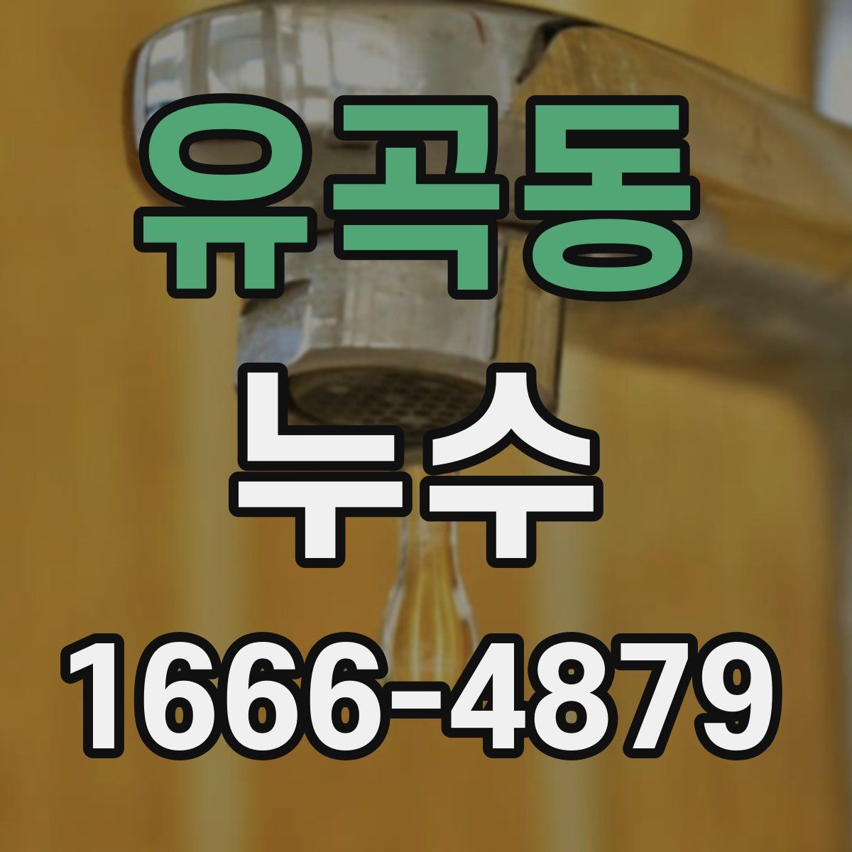 유곡동 누수