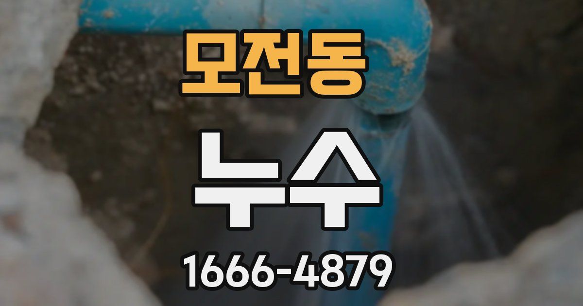 모전동 누수