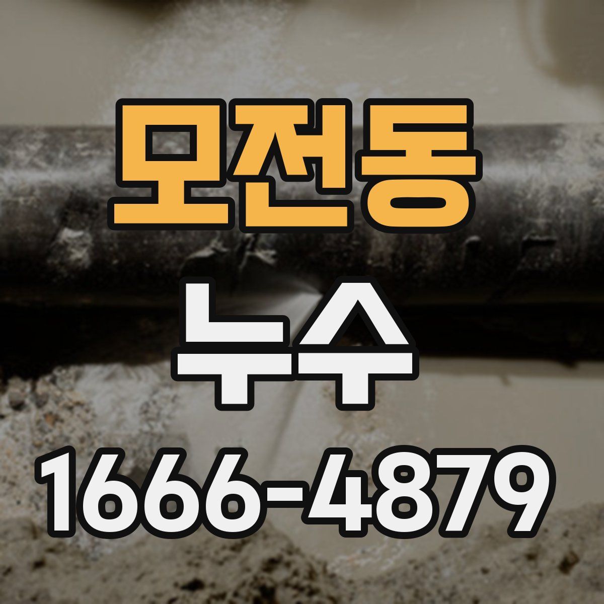 모전동 누수