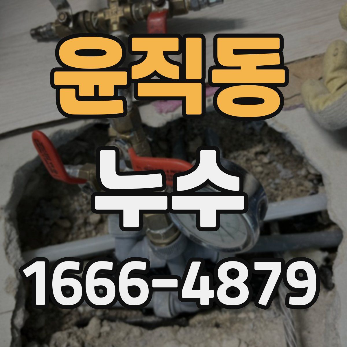 윤직동 누수