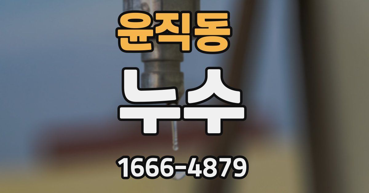 윤직동 누수