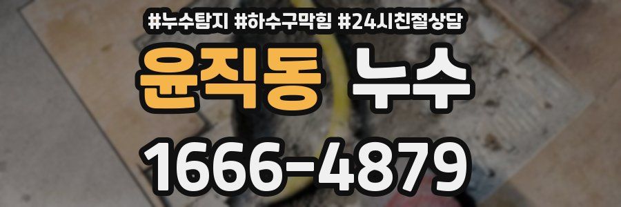 윤직동 누수