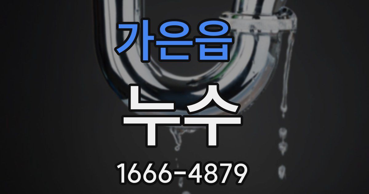 가은읍 누수