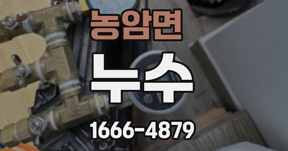 농암면 누수