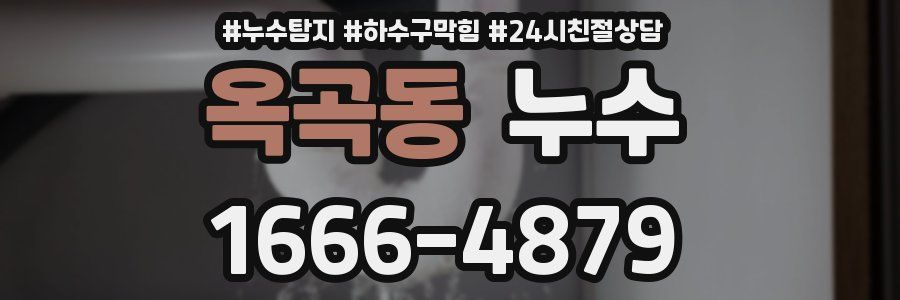옥곡동 누수