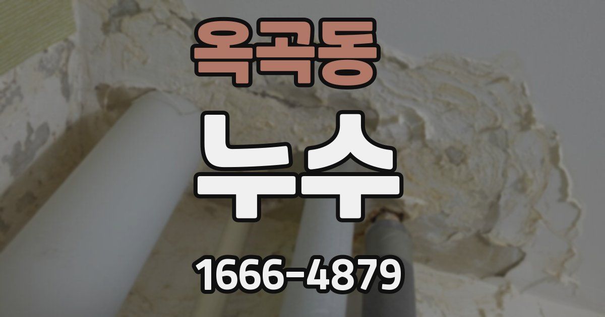 옥곡동 누수