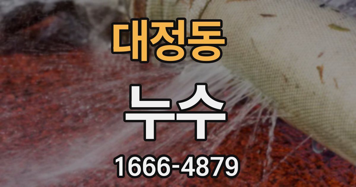 대정동 누수