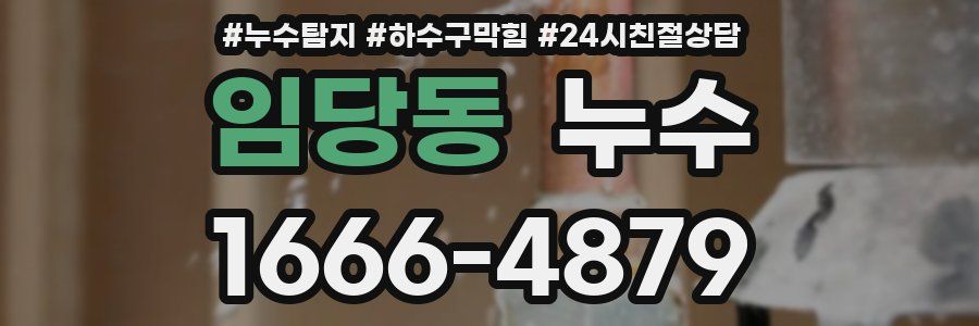 임당동 누수