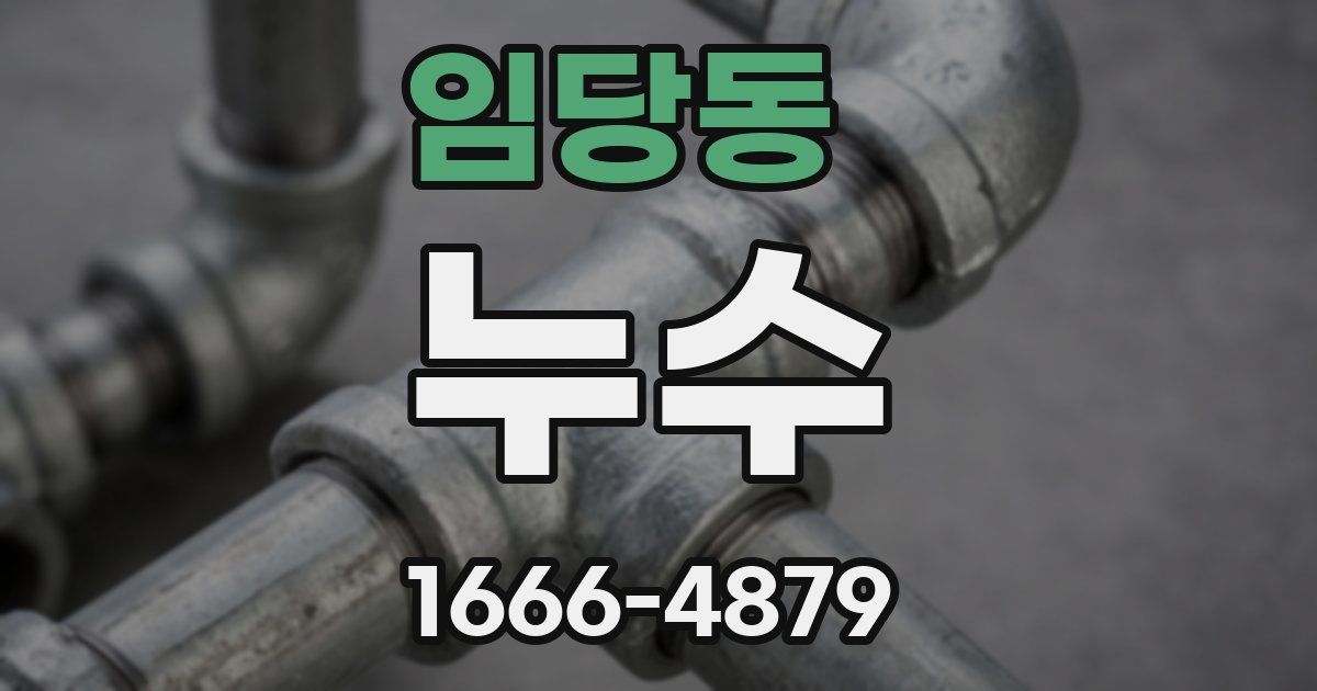 임당동 누수