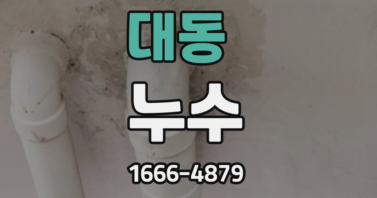 대동 누수