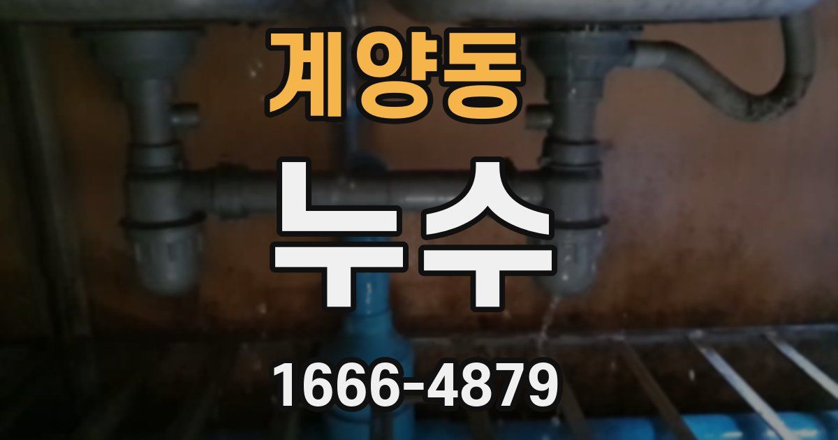계양동 누수