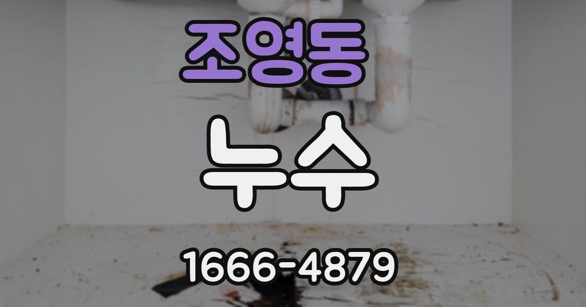 조영동 누수