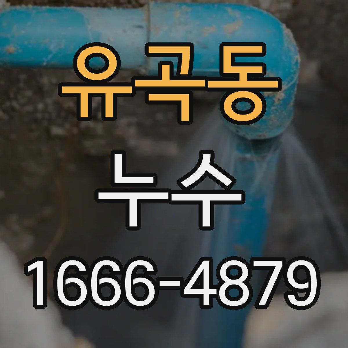 유곡동 누수