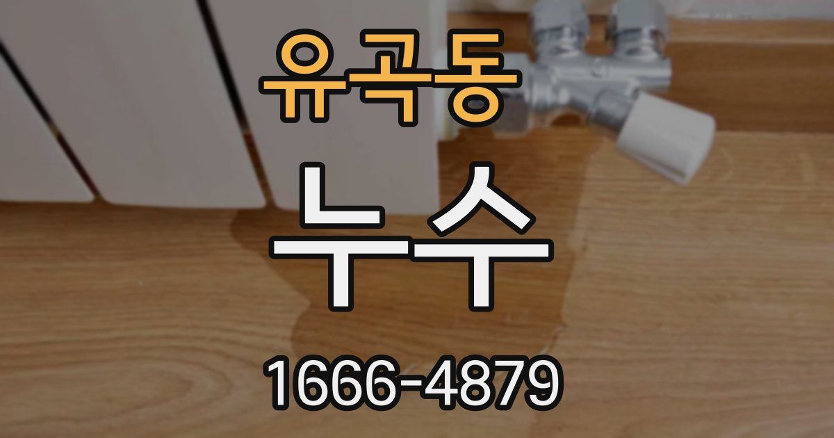 유곡동 누수