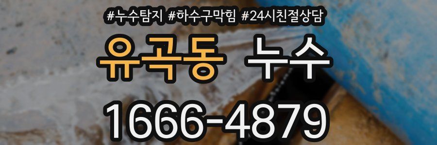 유곡동 누수
