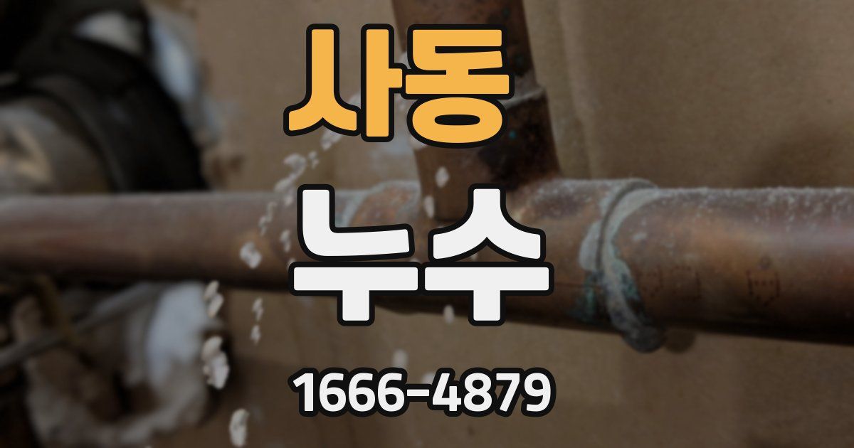 사동 누수
