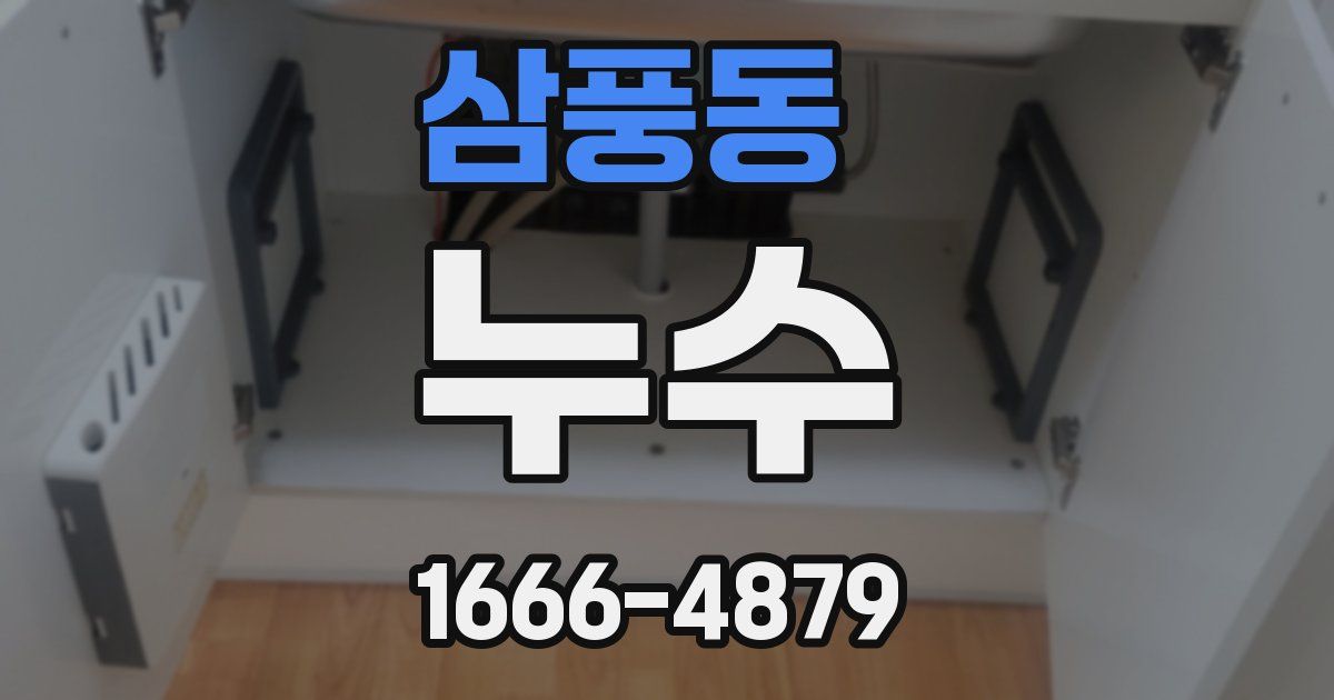 삼풍동 누수