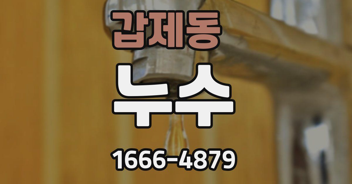 갑제동 누수