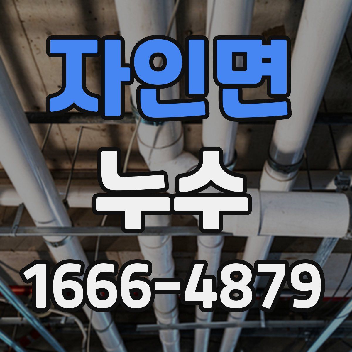 자인면 누수