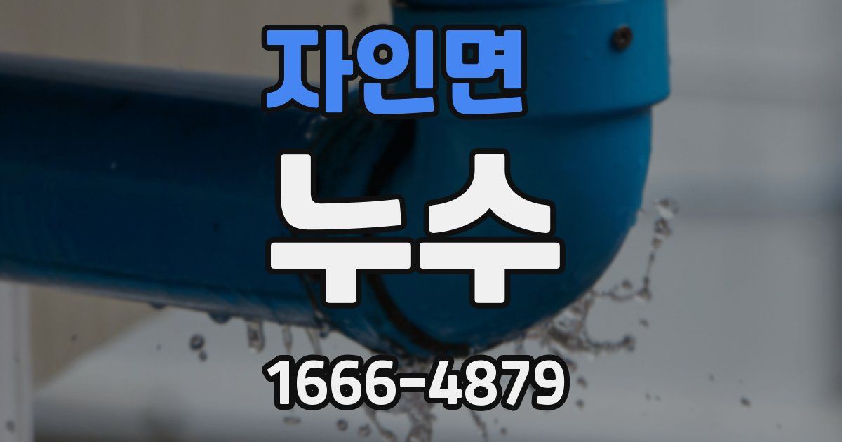 자인면 누수