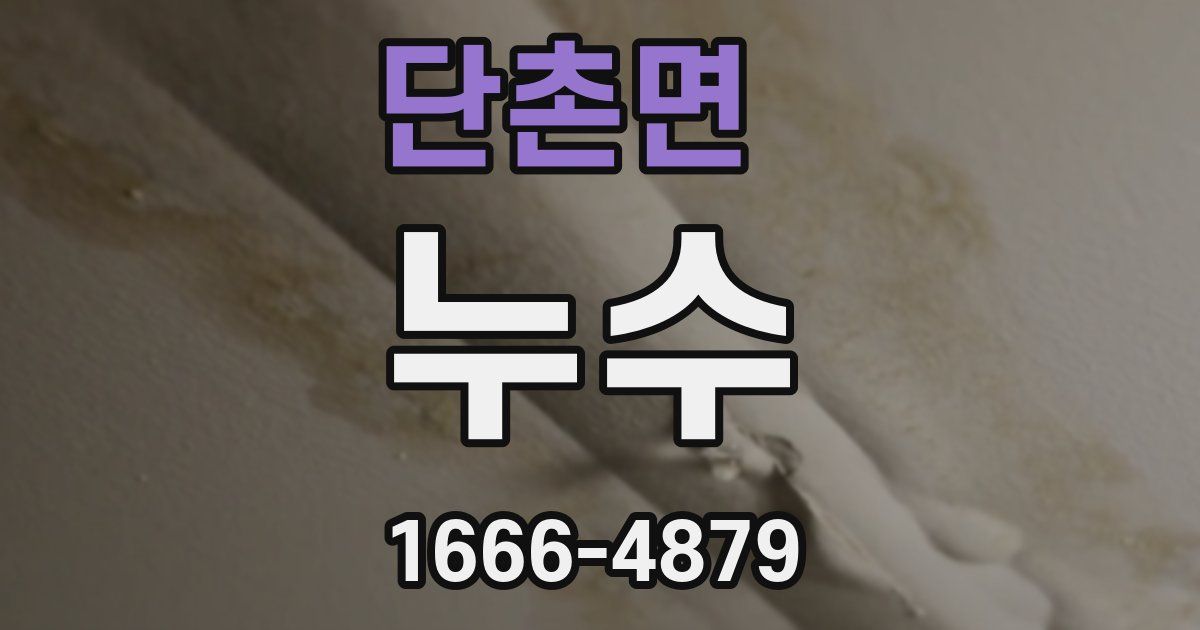 단촌면 누수