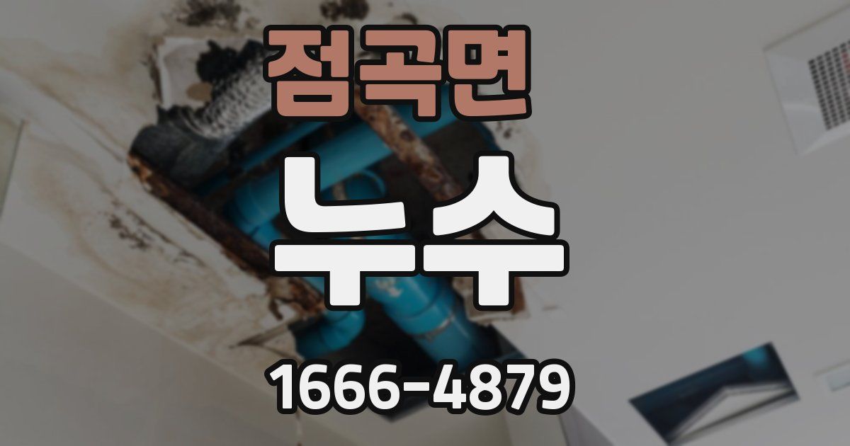 점곡면 누수