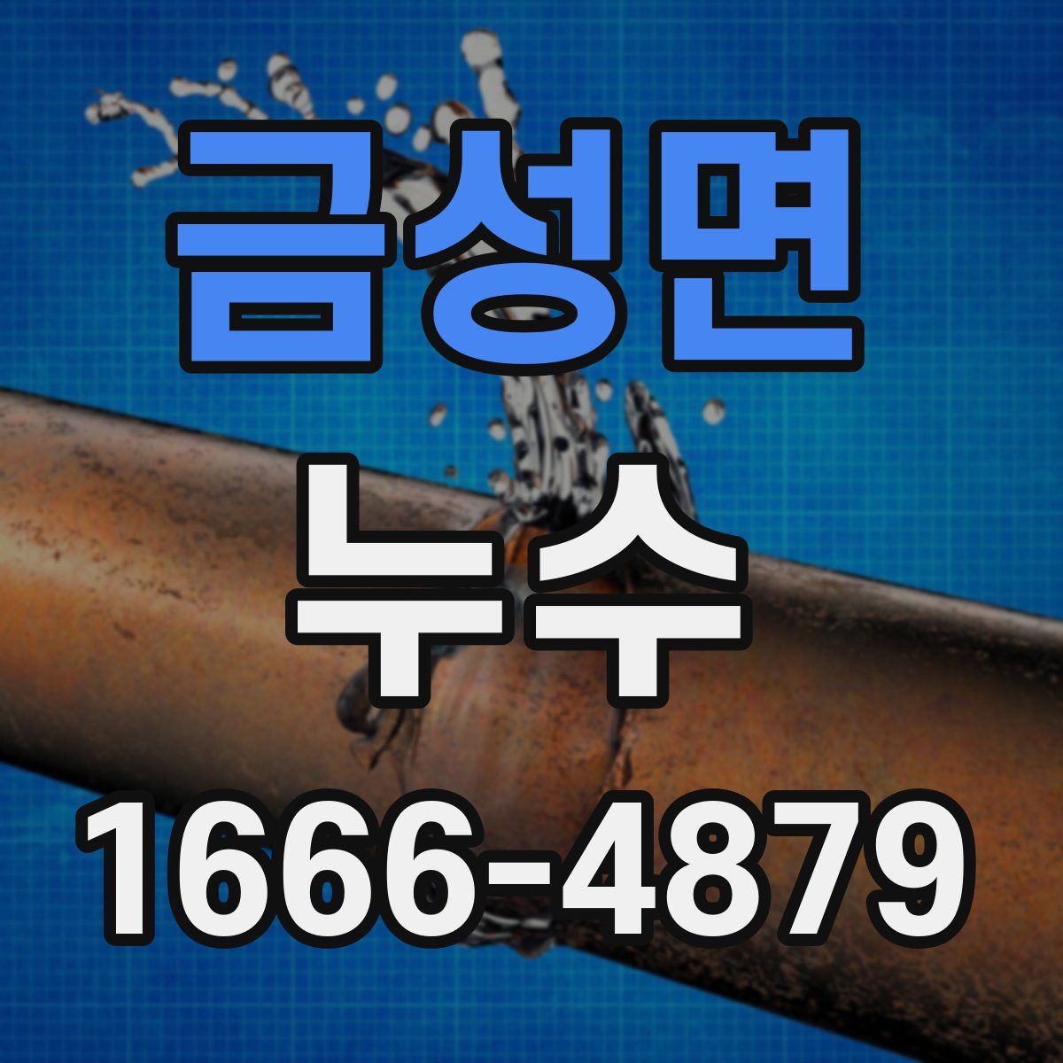 금성면 누수