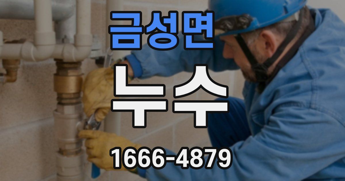 금성면 누수