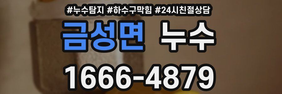 금성면 누수