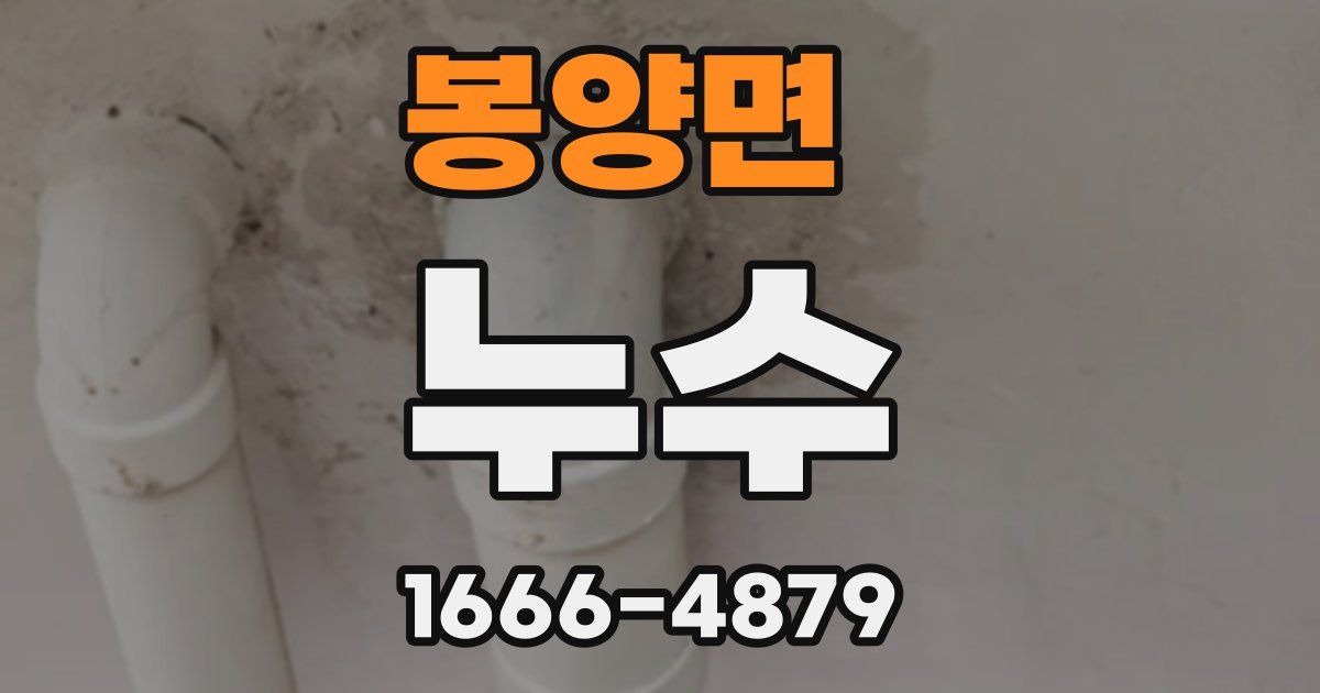 봉양면 누수