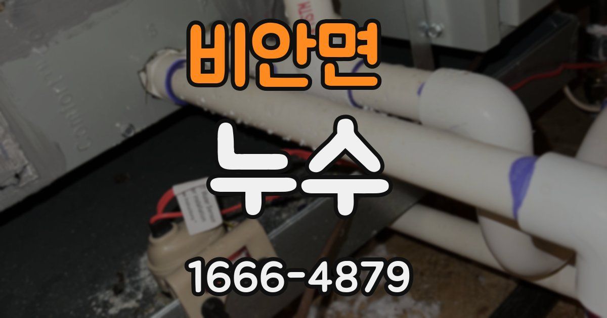 비안면 누수