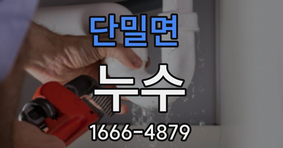 단밀면 누수