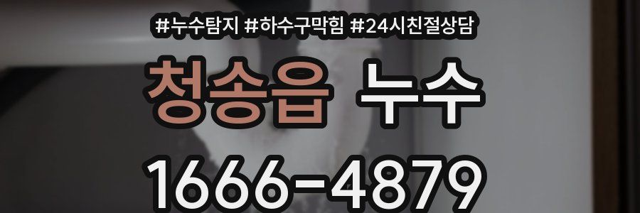 청송읍 누수