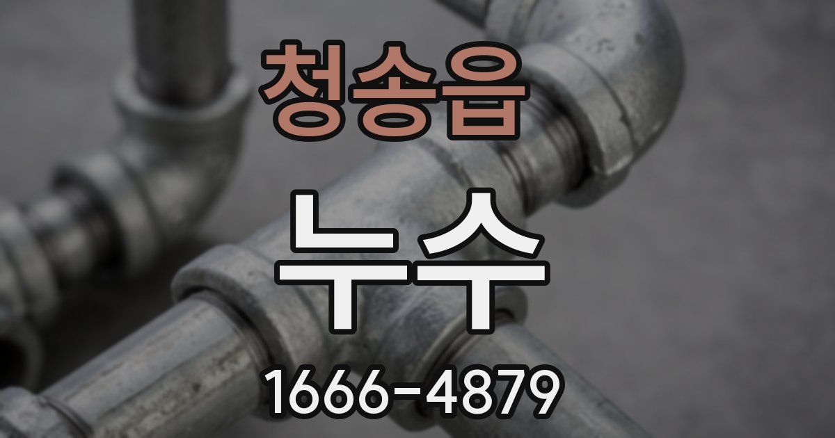 청송읍 누수