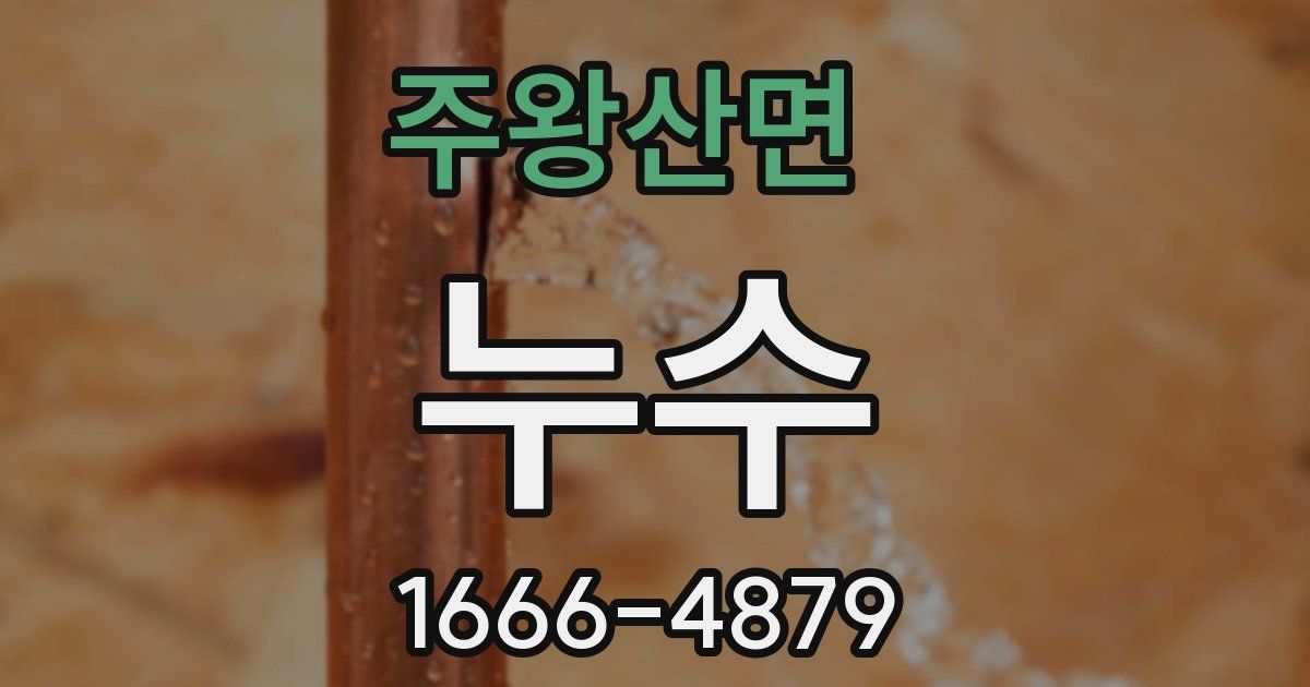 주왕산면 누수