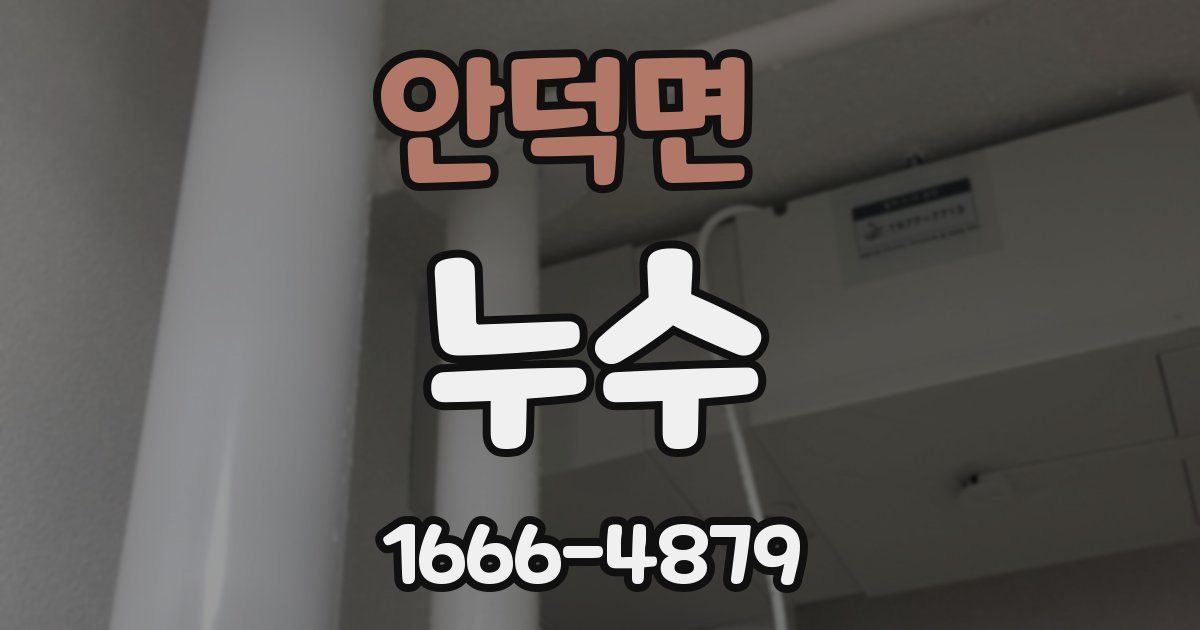 안덕면 누수