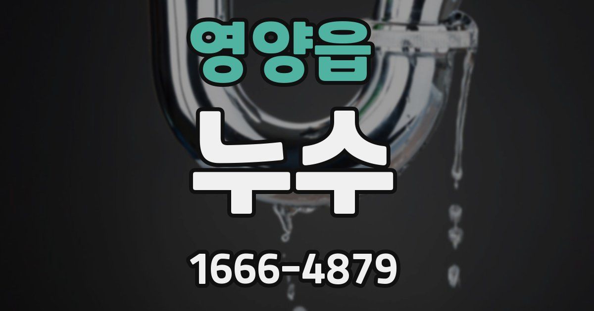 영양읍 누수