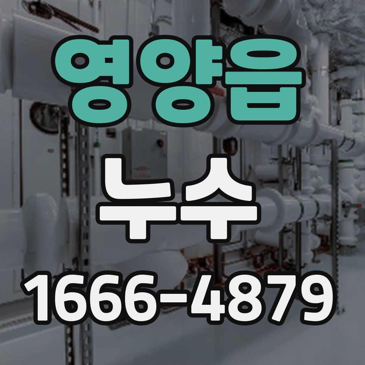 영양읍 누수