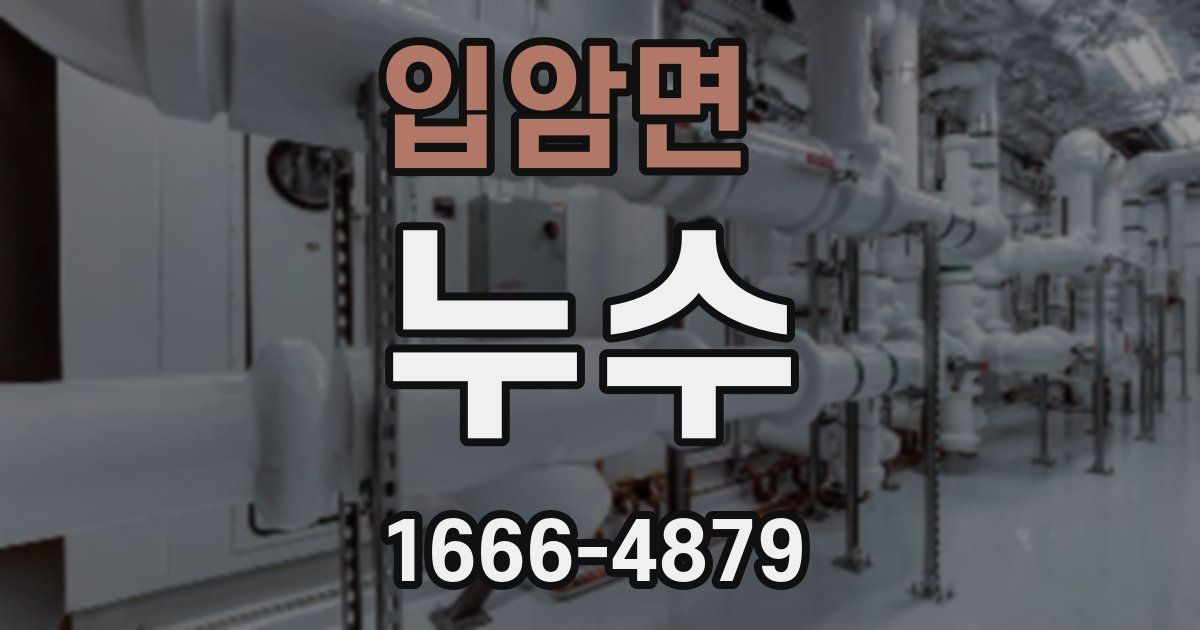 입암면 누수