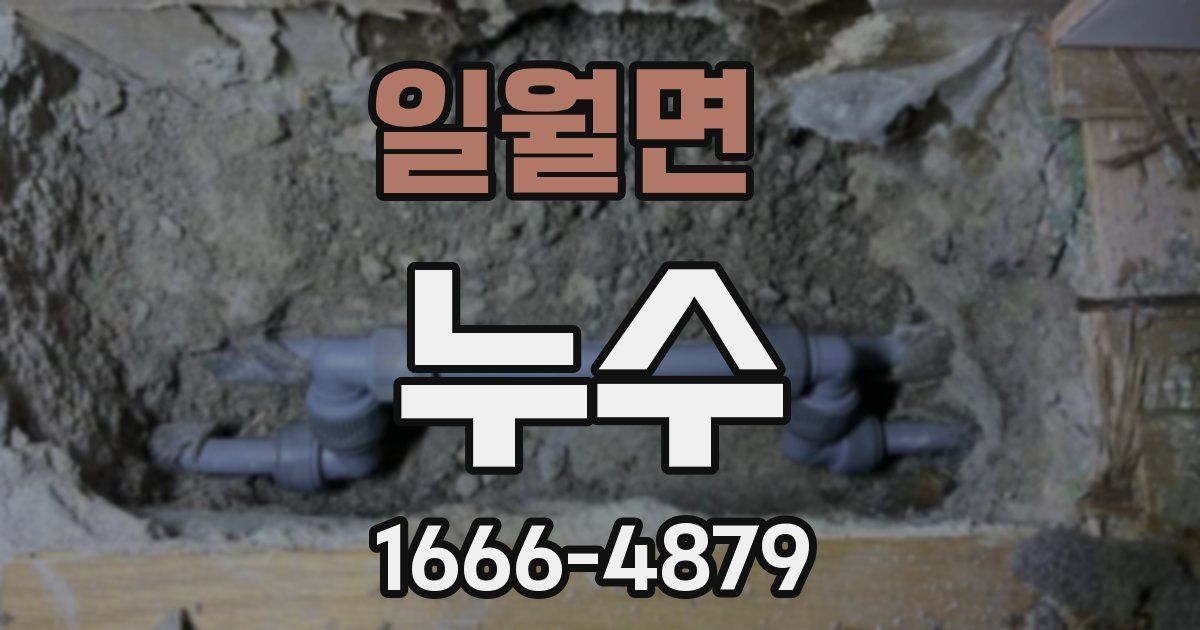 일월면 누수