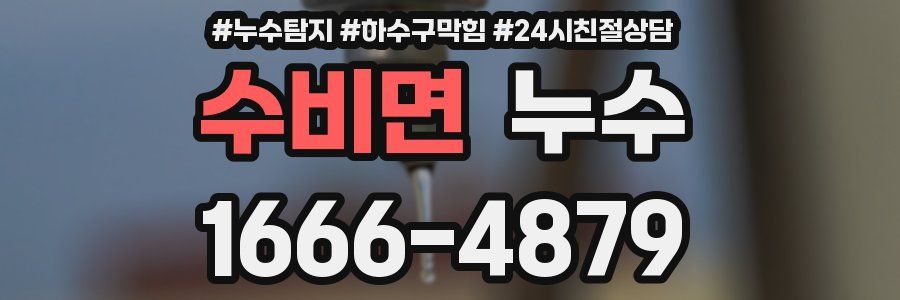 수비면 누수