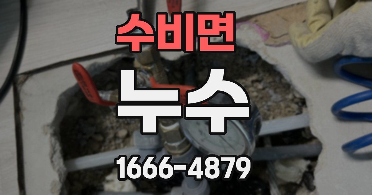 수비면 누수