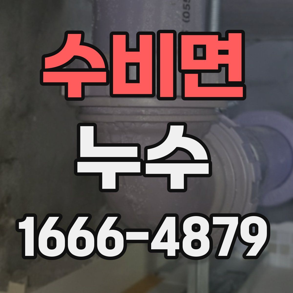 수비면 누수