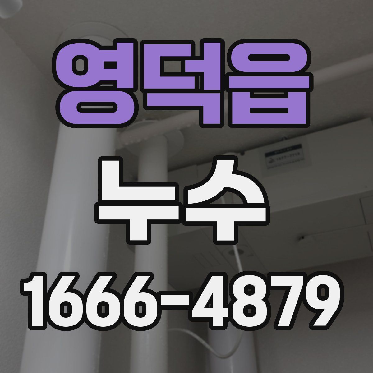 영덕읍 누수
