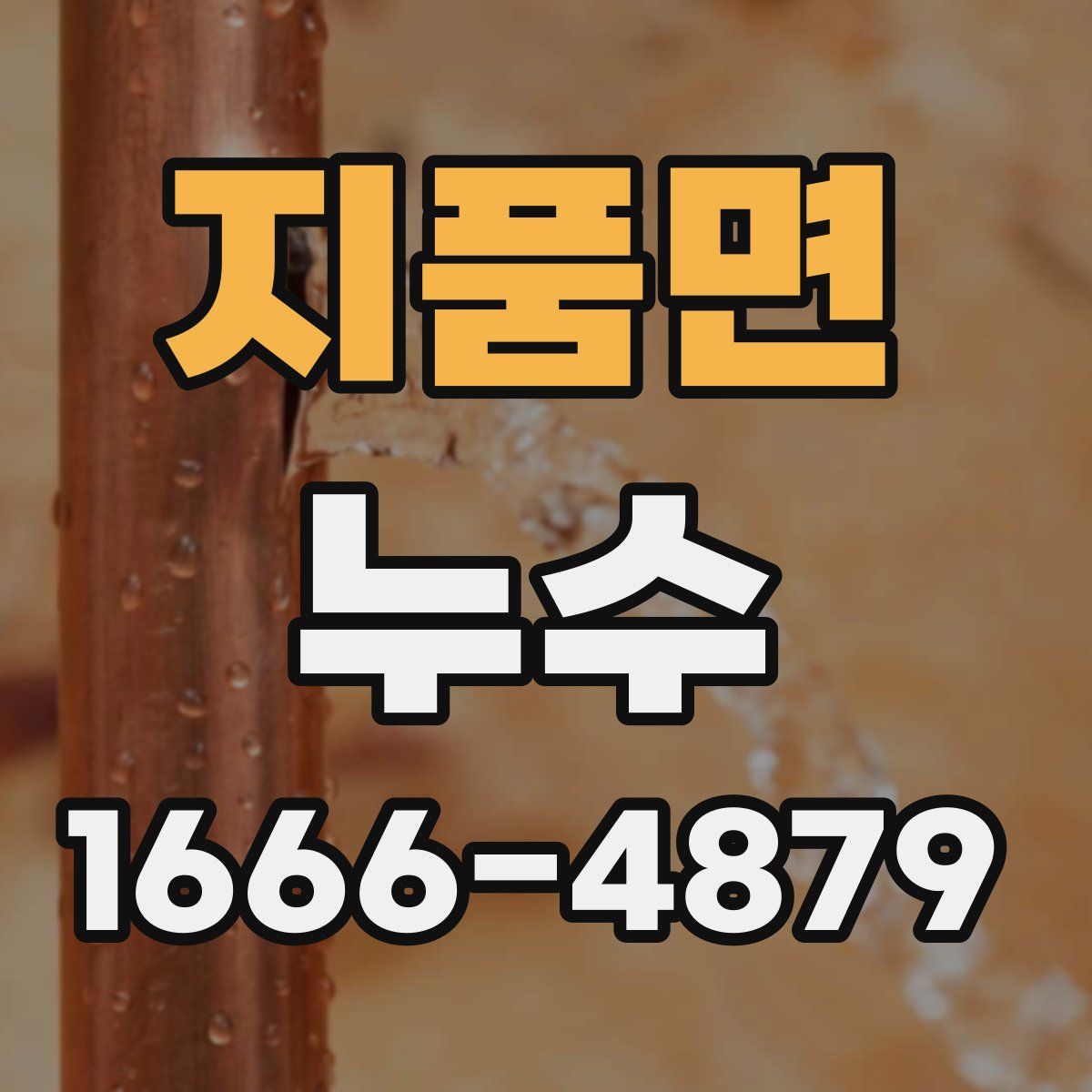 지품면 누수