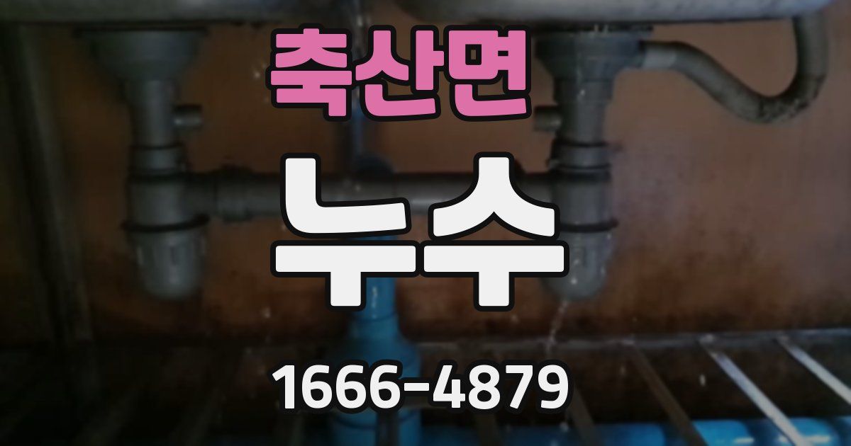 축산면 누수
