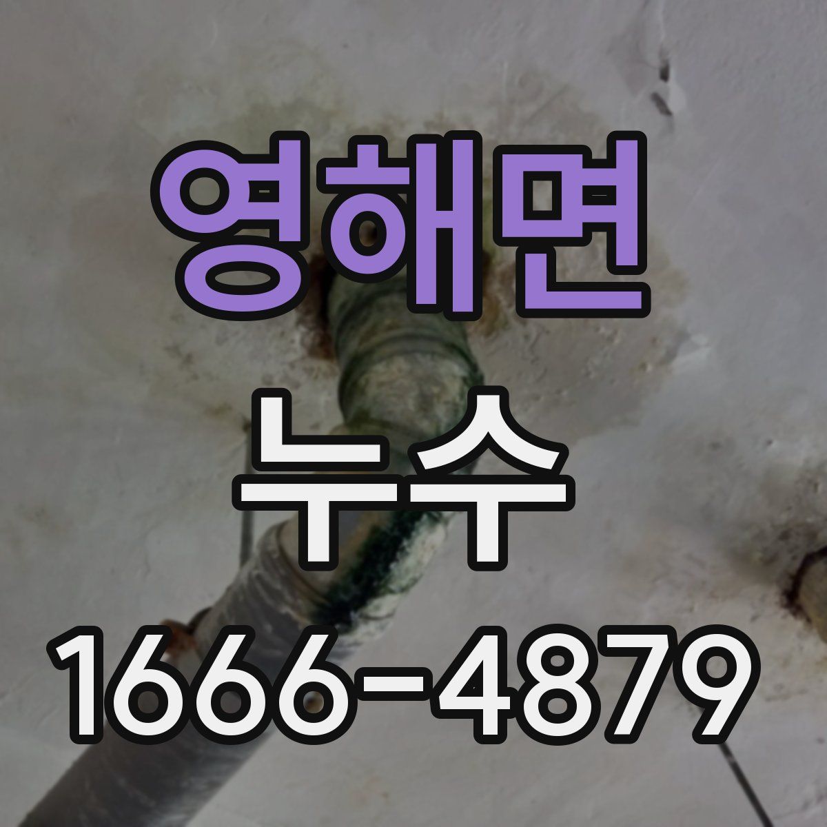 영해면 누수