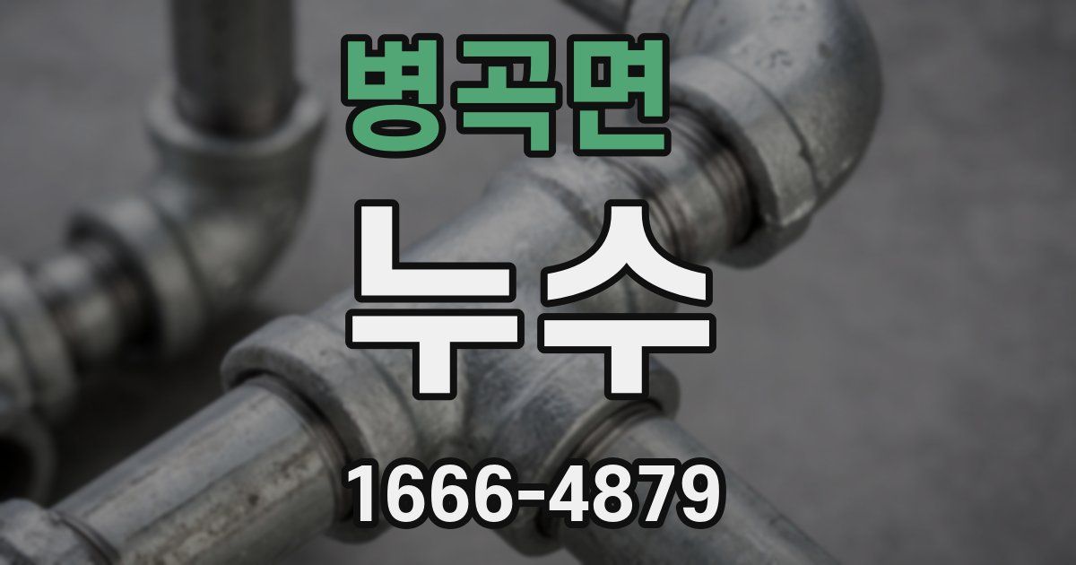병곡면 누수