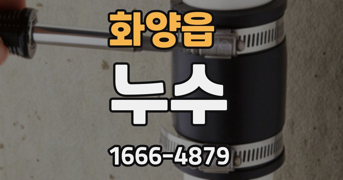 화양읍 누수