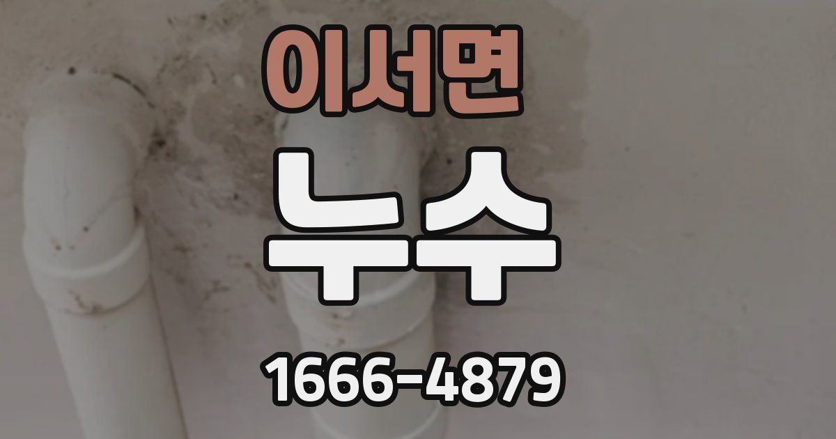 이서면 누수